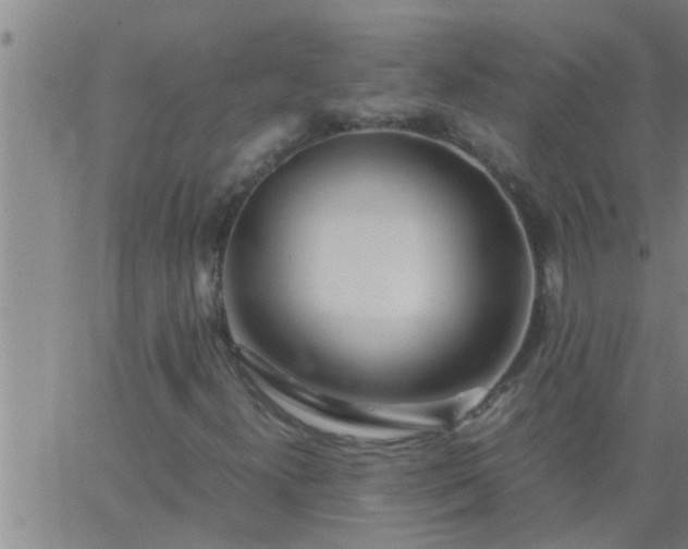 X0000063521300200601271825