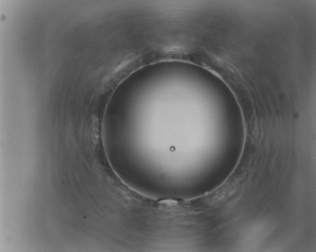 X0000063521301200601271825