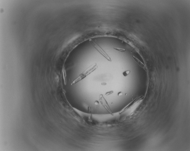 X0000063521302200601271825