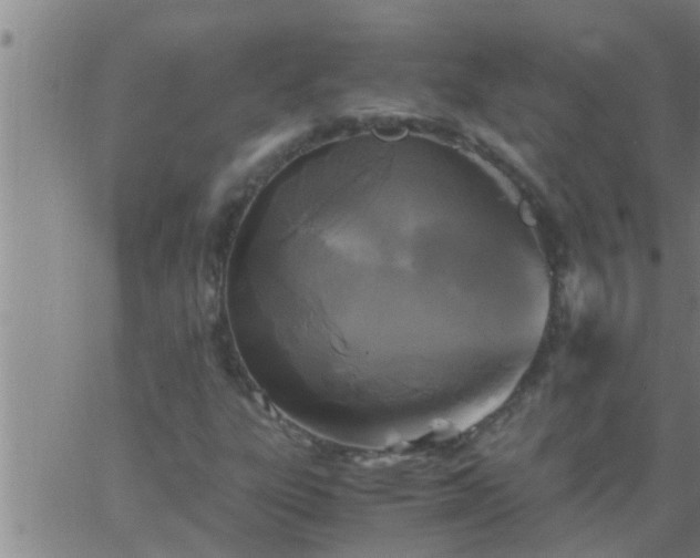 X0000063521303200601271825