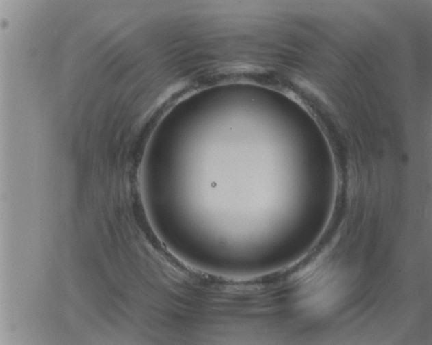 X0000063521305200601271826