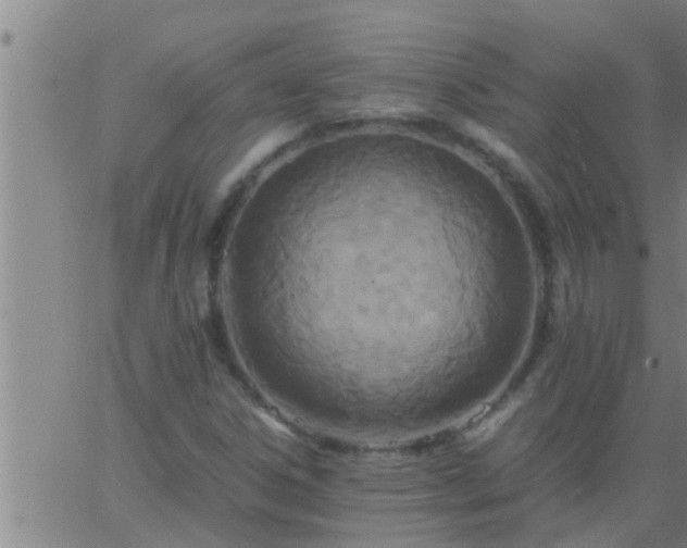 X0000063521306200601271826