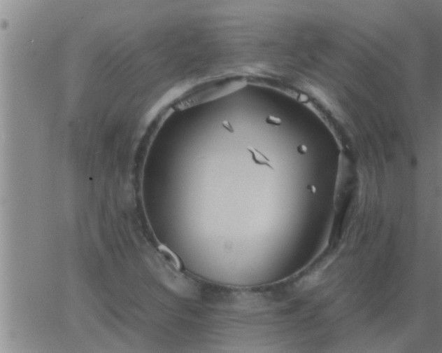 X0000063521308200601271826