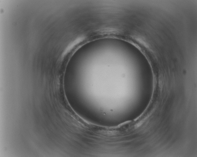 X0000063521309200601271826