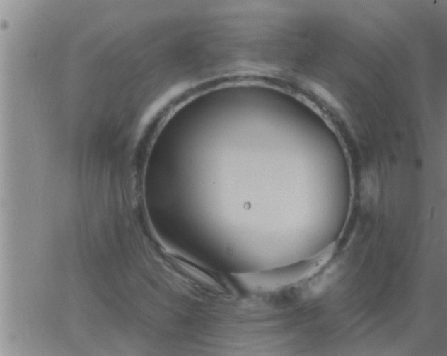 X0000063521310200601271826