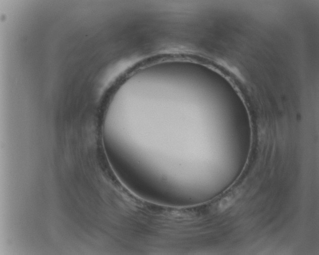 X0000063521311200601271826