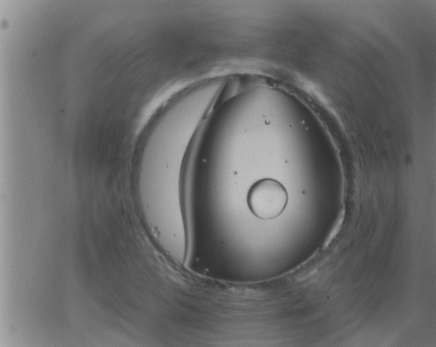 X0000063521312200601271826