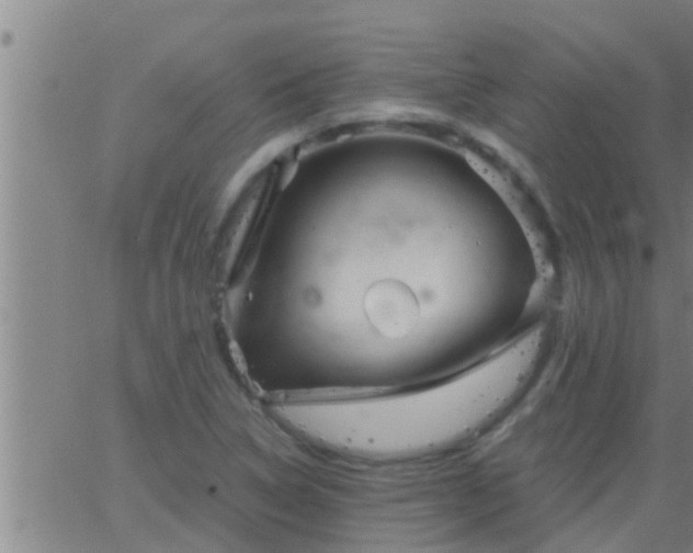 X0000063521314200601271826