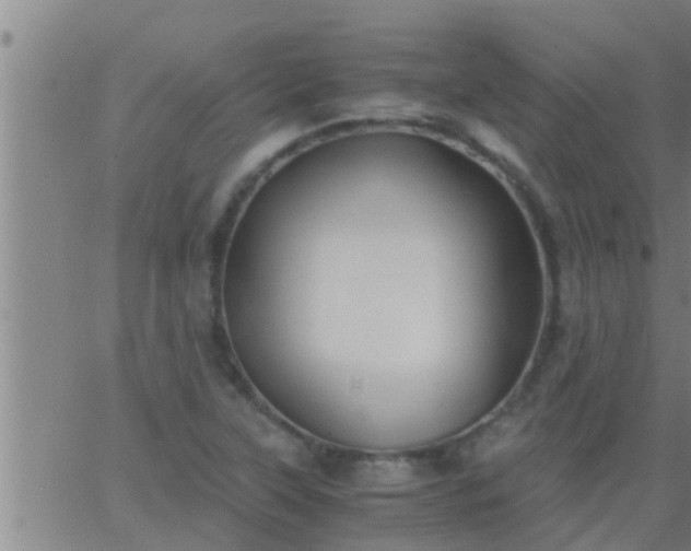 X0000063521315200601271826