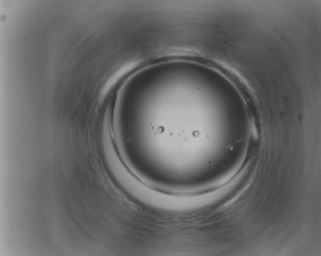 X0000063521317200601271826