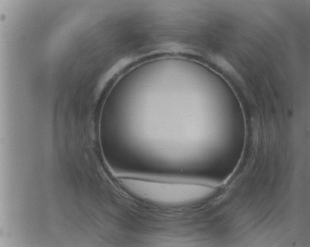 X0000063521318200601271826