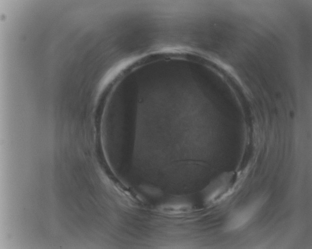 X0000063521319200601271826