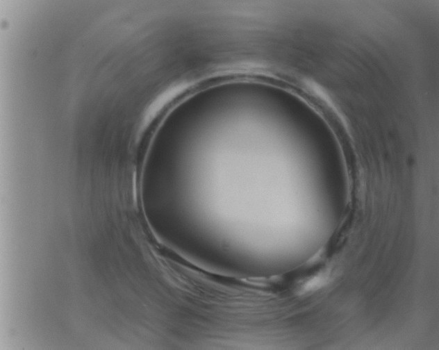 X0000063521320200601271826