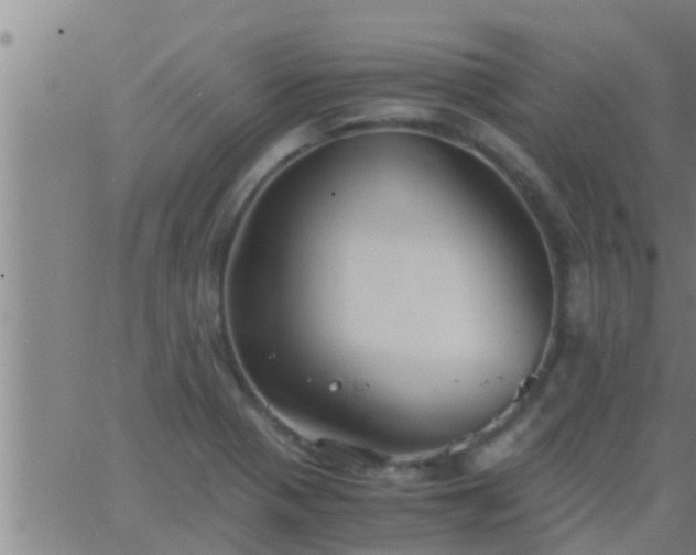 X0000063521321200601271826