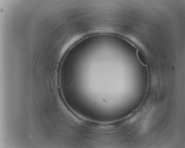 X0000063521325200601271826