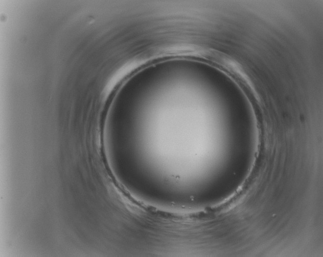 X0000063521328200601271826