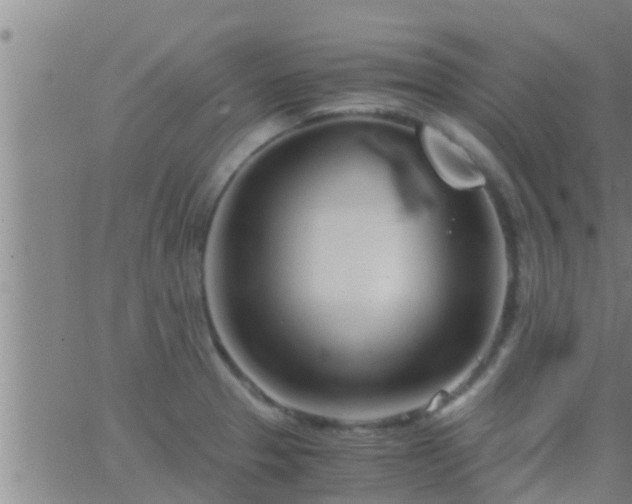 X0000063521329200601271826