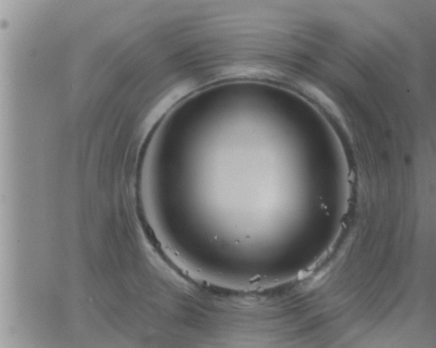 X0000063521330200601271826