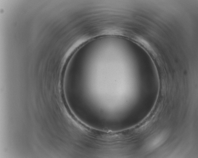 X0000063521331200601271826