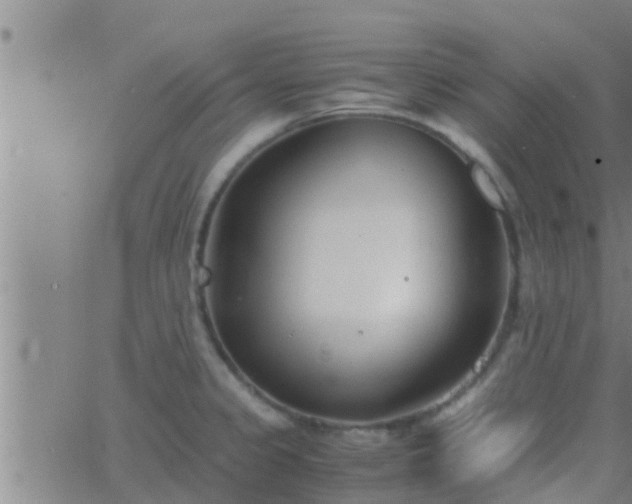 X0000063521333200601271826