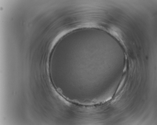 X0000063521334200601271826