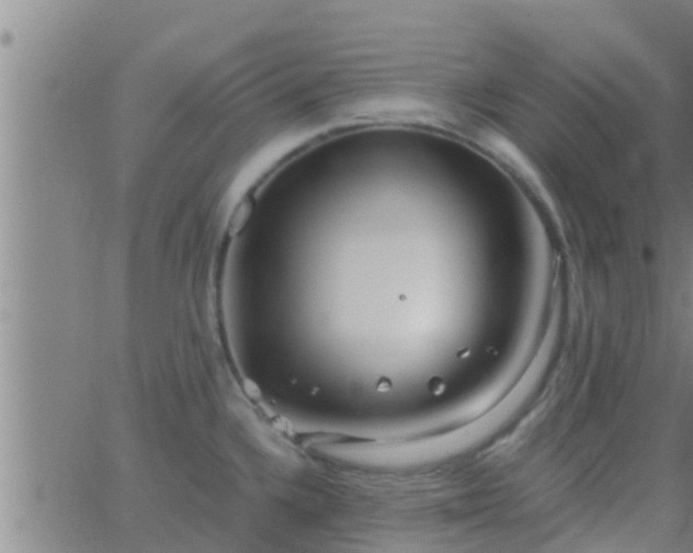 X0000063521336200601271826