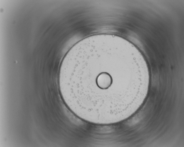 X0000063521338200601271826