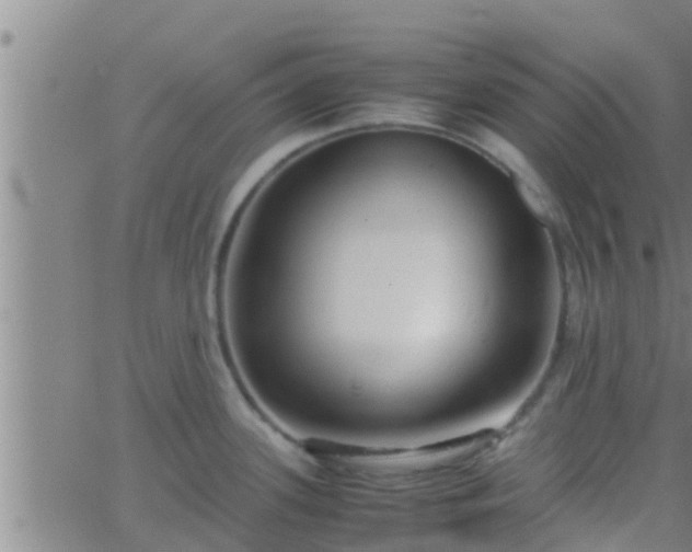 X0000063521339200601271826