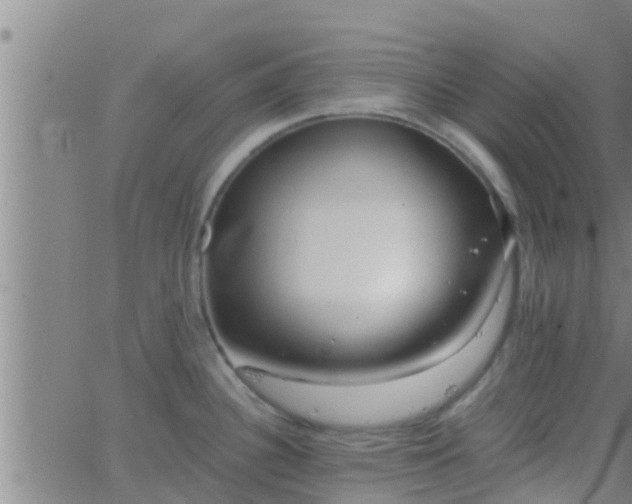 X0000063521340200601271826