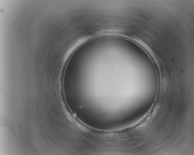 X0000063521341200601271826