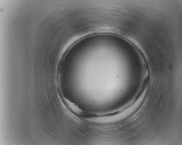 X0000063521342200601271826