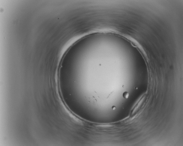 X0000063521343200601271826