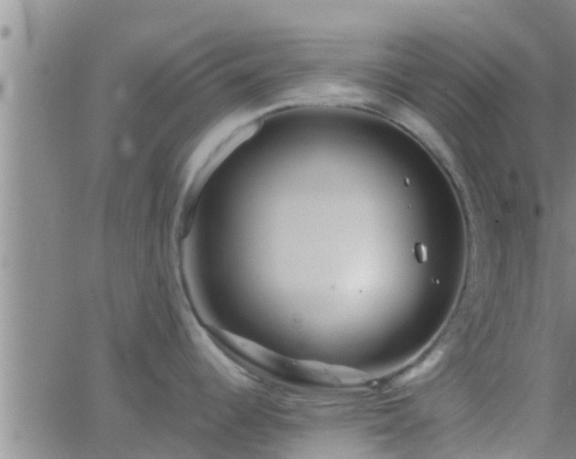 X0000063521344200601271826