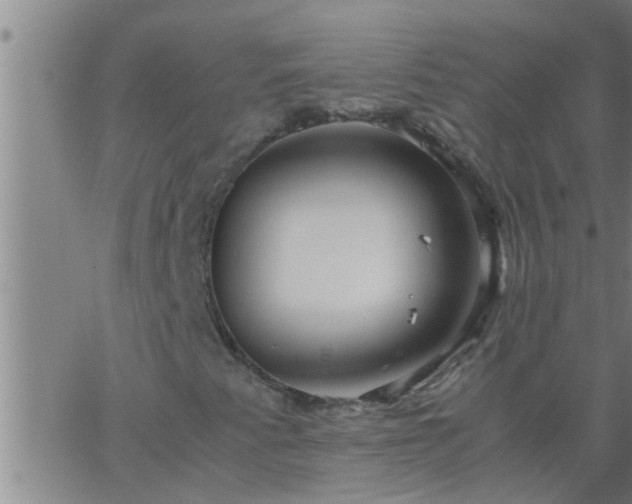 X0000063521345200601271825