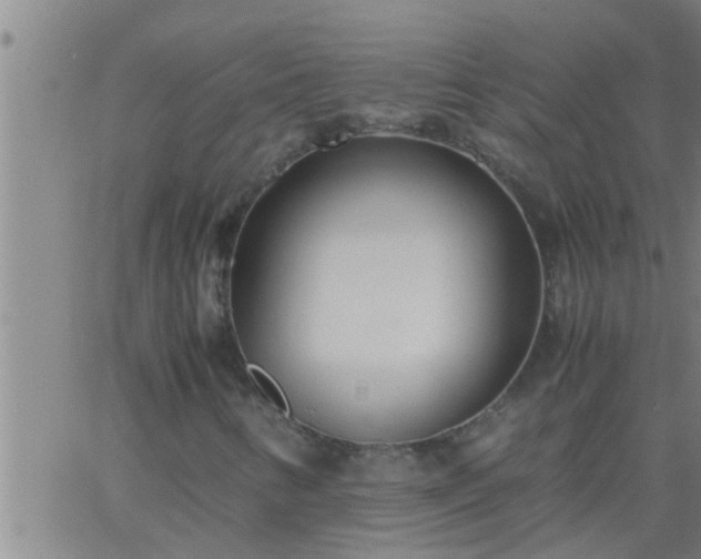 X0000063521346200601271825