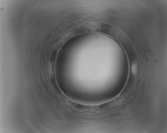 X0000063521347200601271825