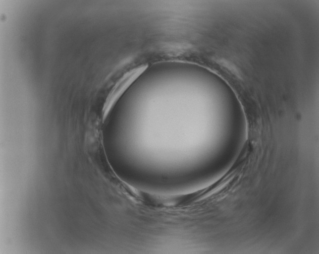 X0000063521349200601271825