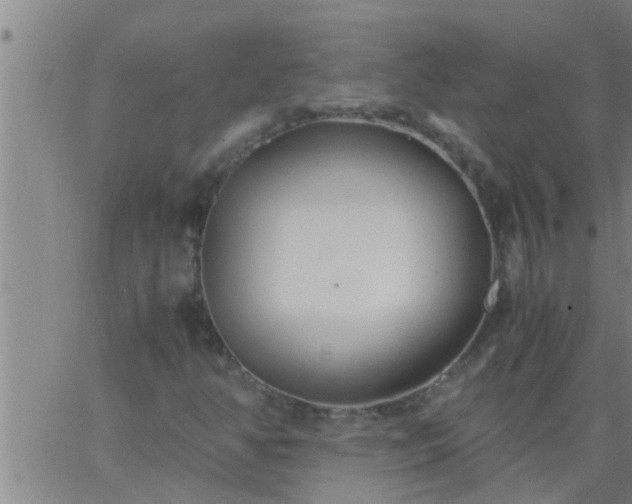 X0000063521350200601271825