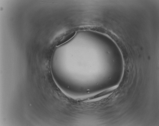 X0000063521351200601271825