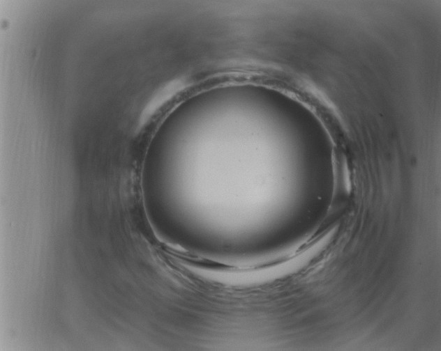 X0000063521352200601271825