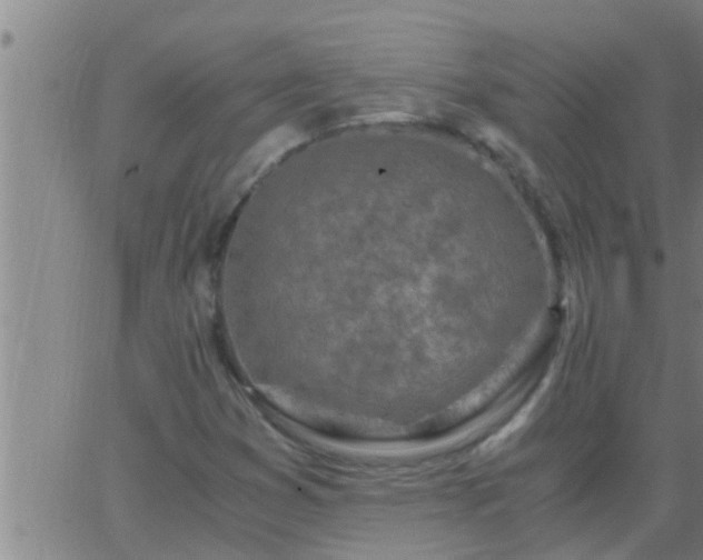 X0000063521353200601271825