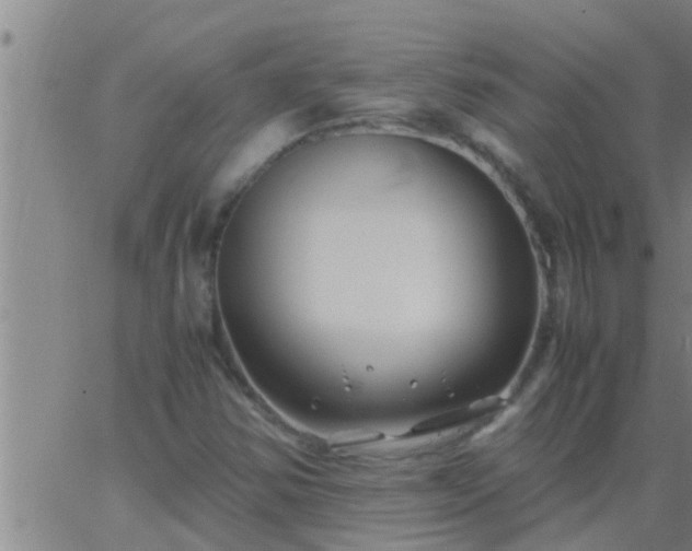 X0000063521354200601271825