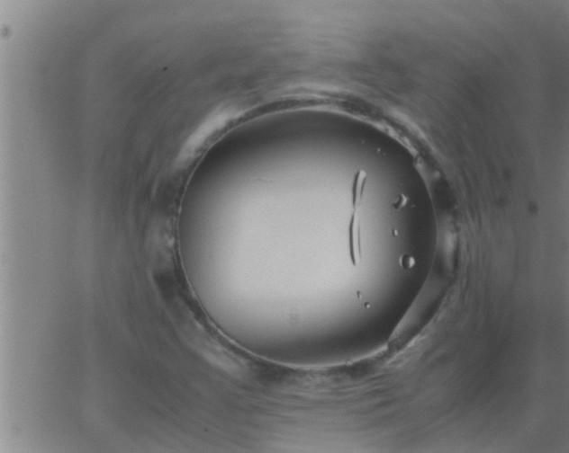 X0000063521355200601271825