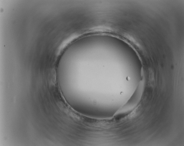 X0000063521358200601271825