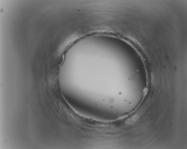 X0000063521359200601271825