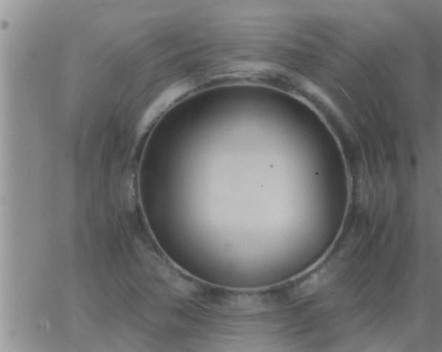 X0000063521362200601271825