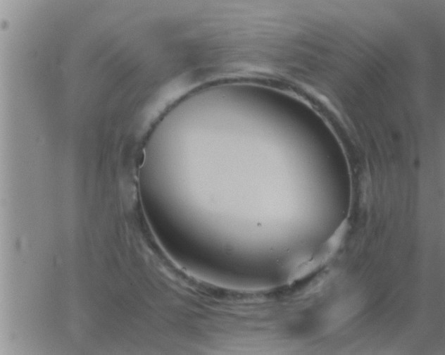 X0000063521363200601271825