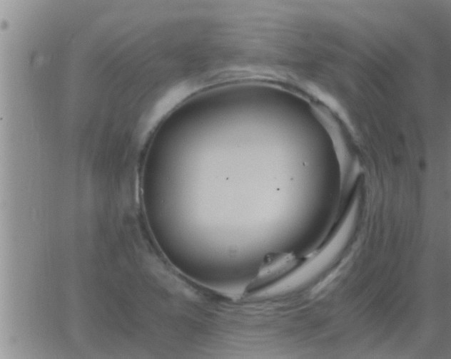 X0000063521365200601271825