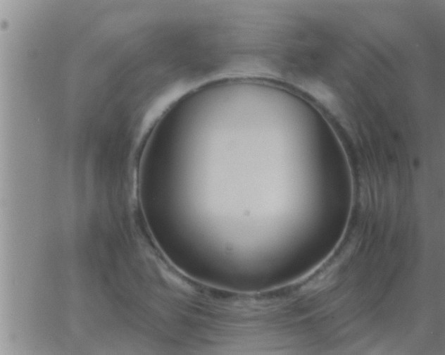 X0000063521366200601271825