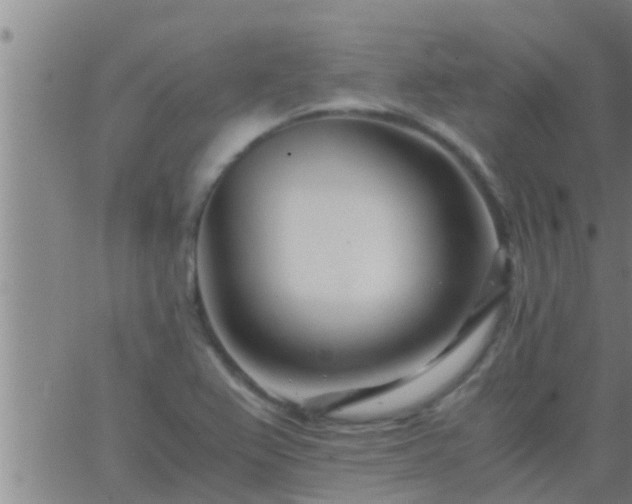 X0000063521367200601271825